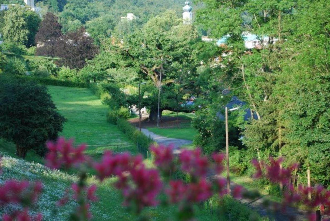 Rhön Hotel Waldcafé St. Georg Staatsbad Brückenau Kültér fotó